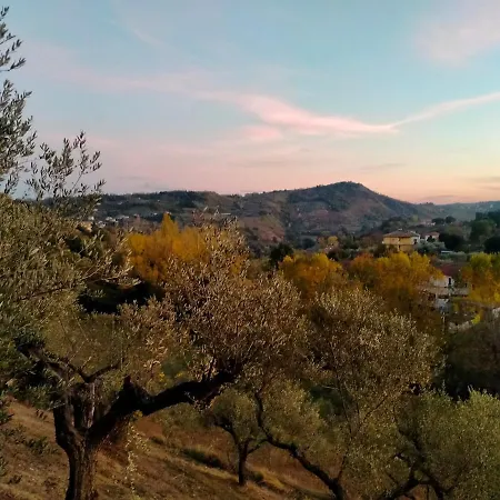 In The Olive Farm 키에티