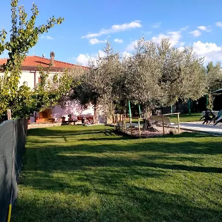 In The Olive Farm