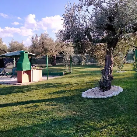 In The Olive Farm 펜션